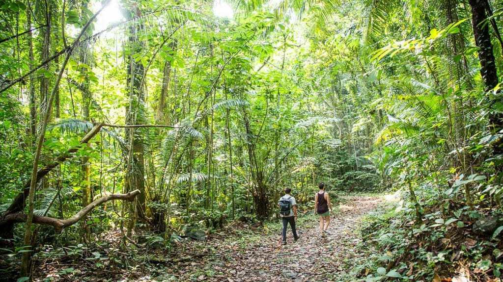 Walk in Forest, Sao Tome and Principe