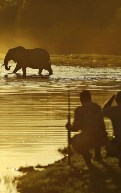 Chongwe River Camp, Lower Zambezi, Zambia