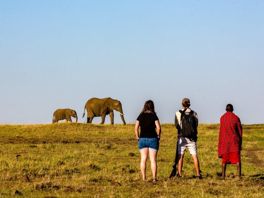Walking, Offbeat Mara Camp, Masai Mara
