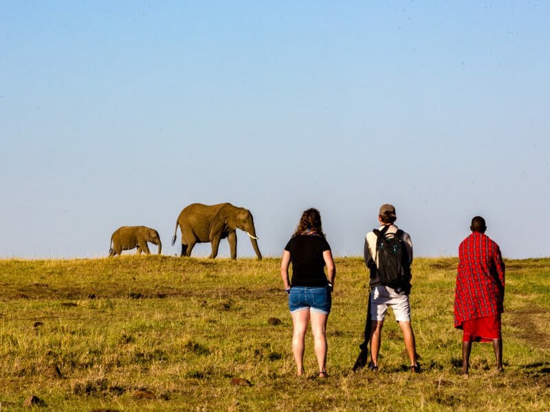 Walking, Offbeat Mara Camp, Masai Mara