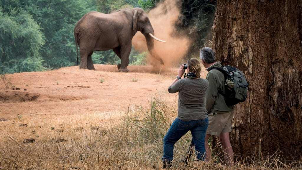 Walking, Pafuri, South Africa