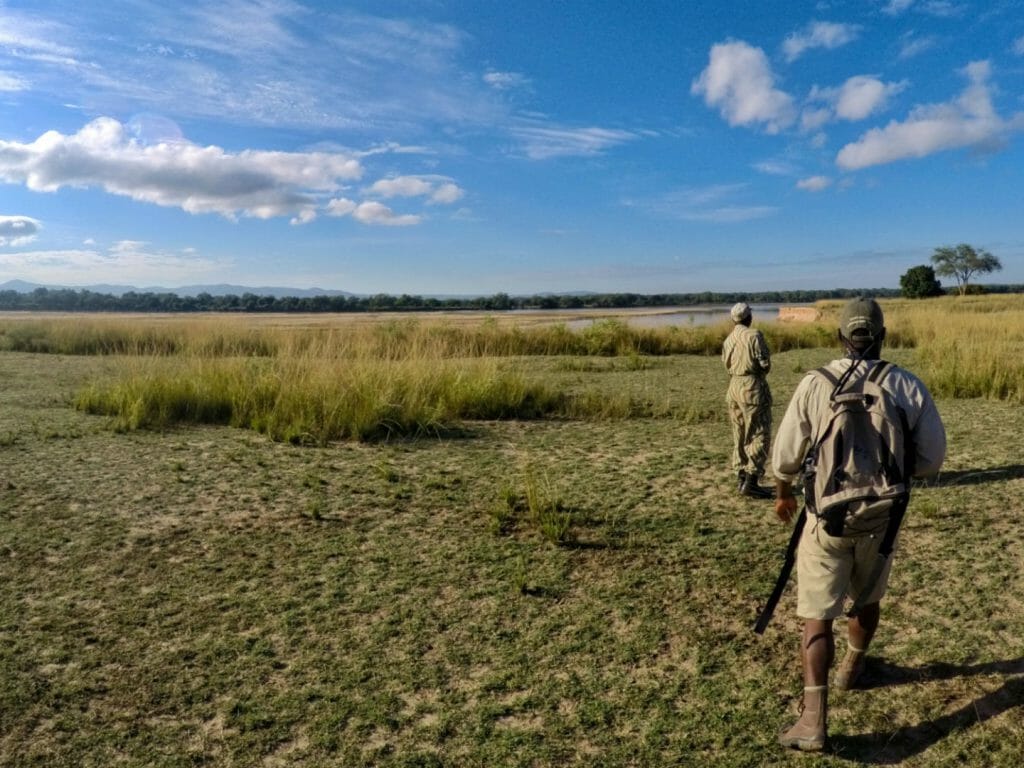 Walking safari, South Luangwa, Zambia