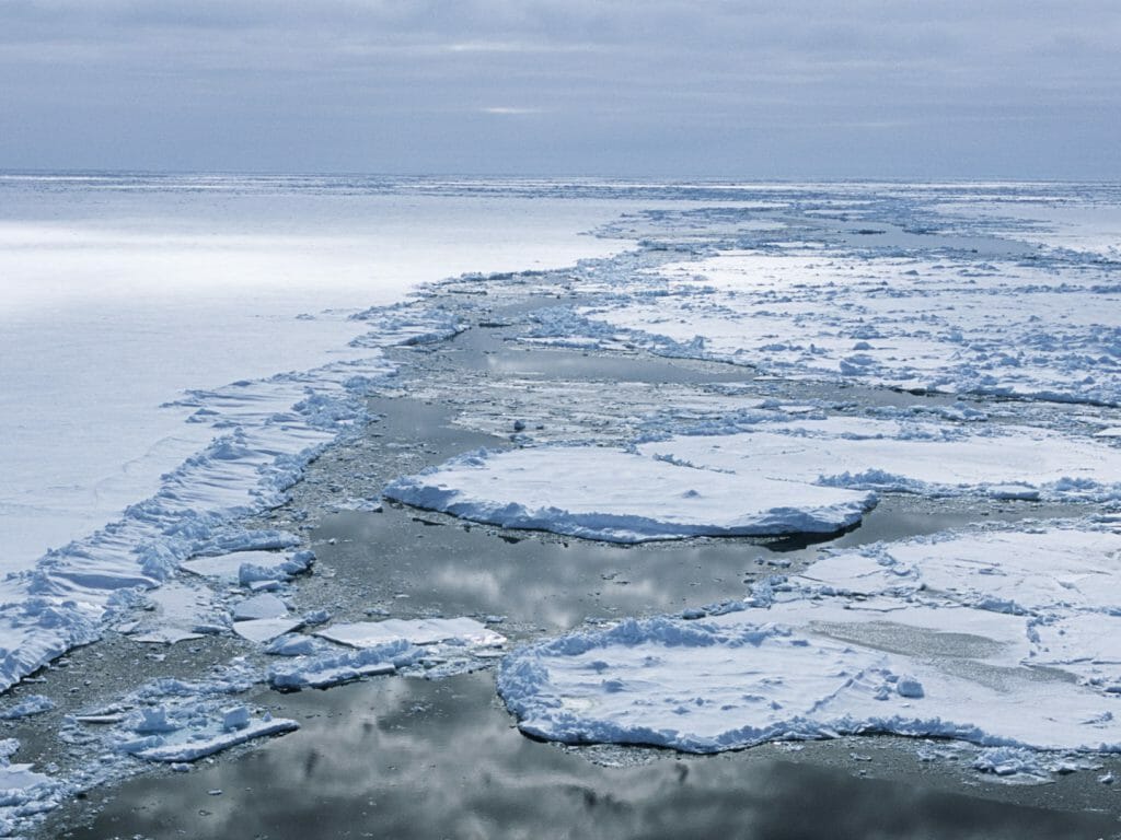 Sea ice, Weddell Sea, Antarctica