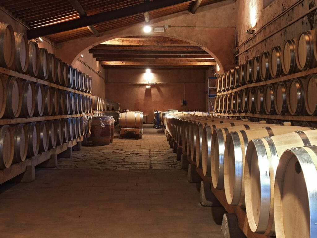 Wine Cellar, Chile