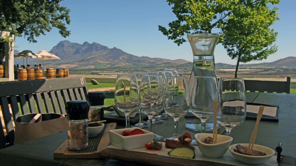Wine tasting with meat, Cape Winelands, South Africa