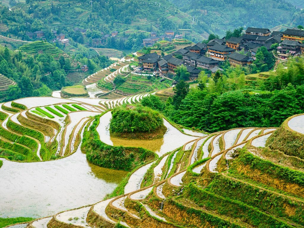 Yaoshan Mountain, Guilin, China hillside rice terraces landscape