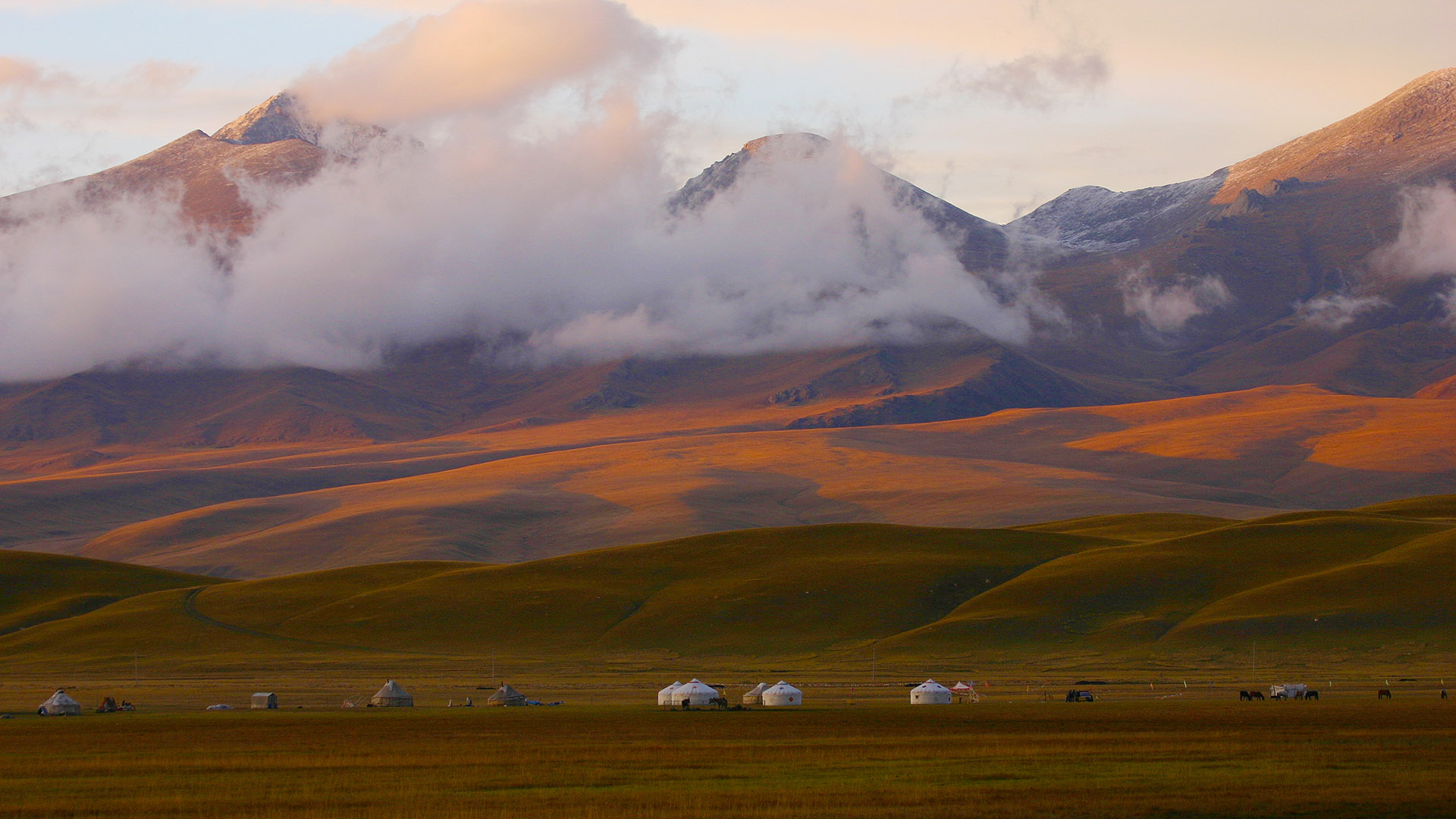 visit mongolia year