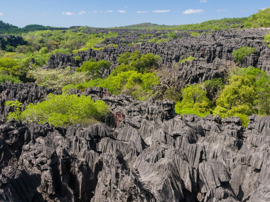 Ankarana Special Reserve, Madagascar