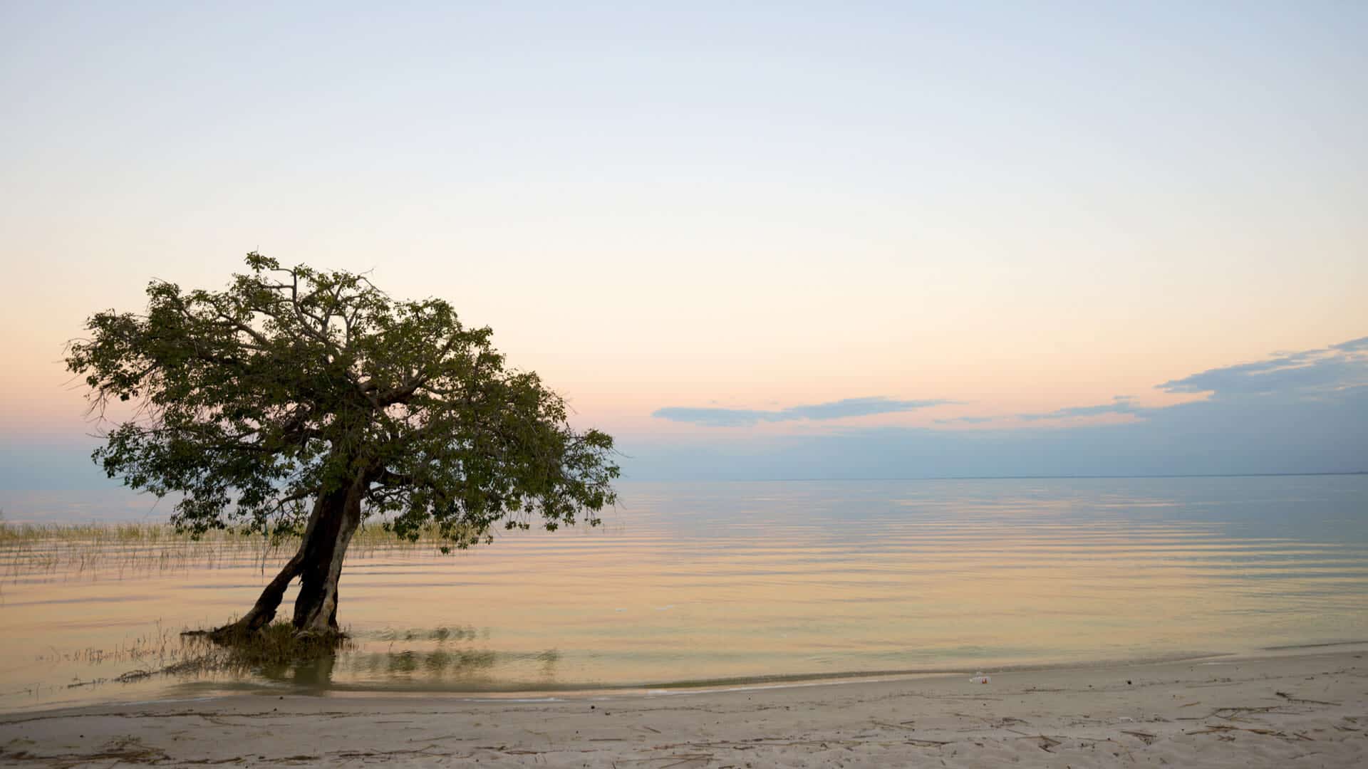 Kasanka National Park & Bangweulu Wetlands Zambia Holidays