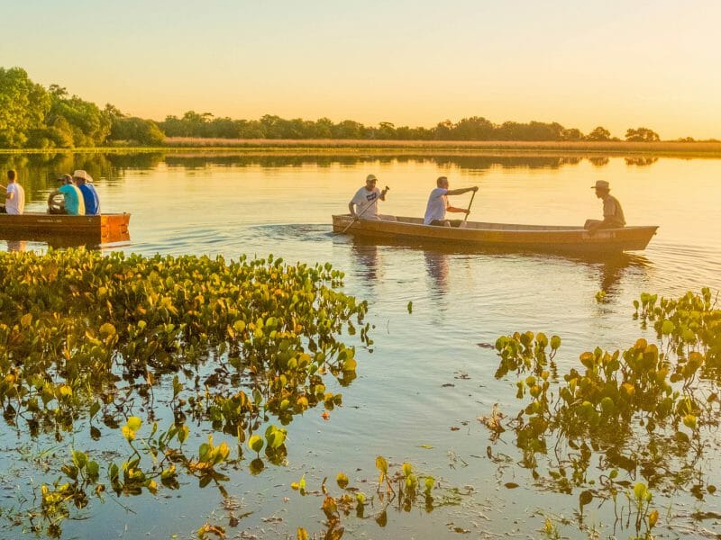 Boat excursion, Baia das Pedras, Pantanal, Brazil