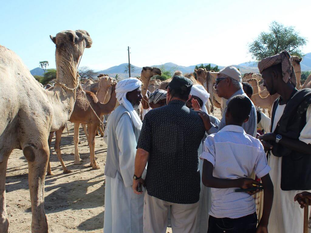 Camel market, Keren, Eritrea