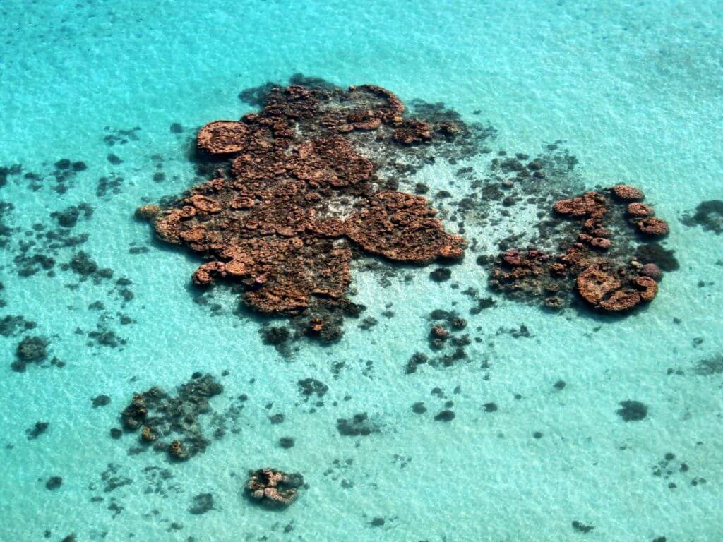 Coral reef surrounded by clear blue ocean
