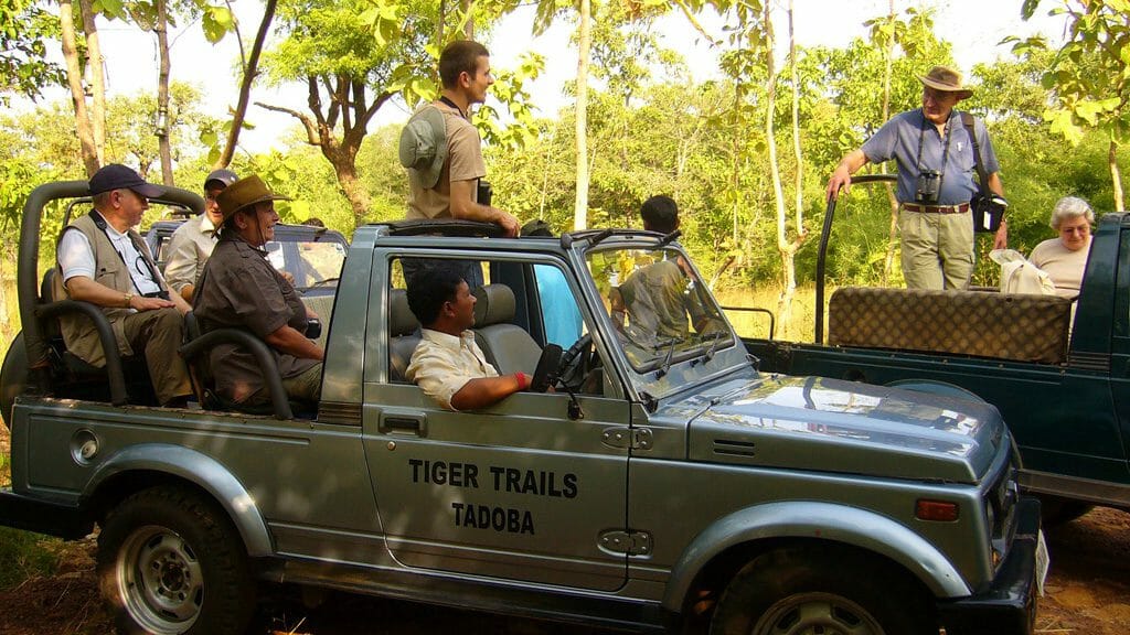 Tiger Trails, Tadoba National Park, India