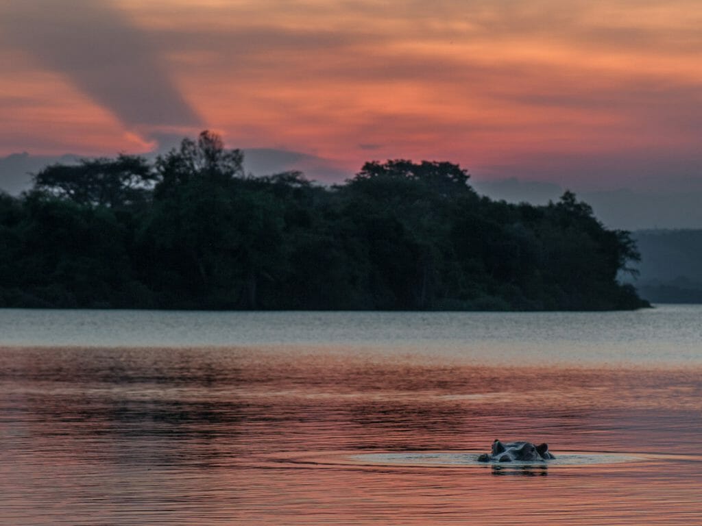 Lake Mburo National Park, Uganda