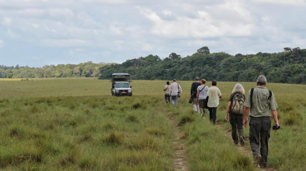 Loango National Park, Gabon