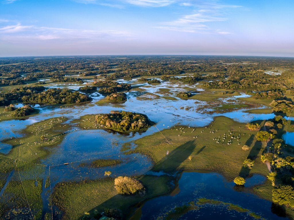 Pantanal, Brazil