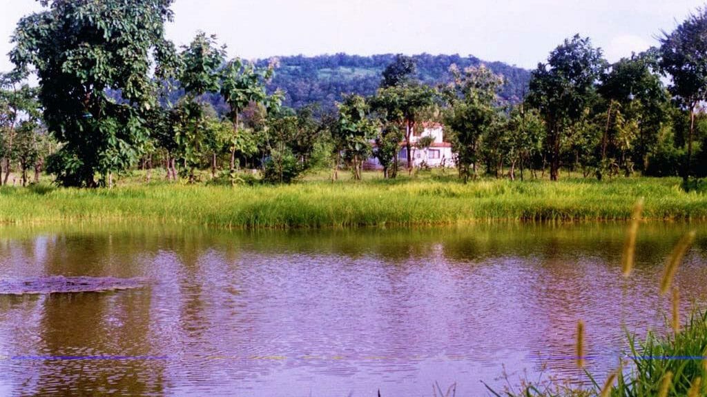 Tiger Trails, Tadoba National Park, India