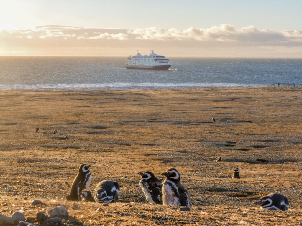 Magellan penguins on shore with Australis boat in distance, Australis Cruise, Fjords of Tierra del Fuego, Patagonia