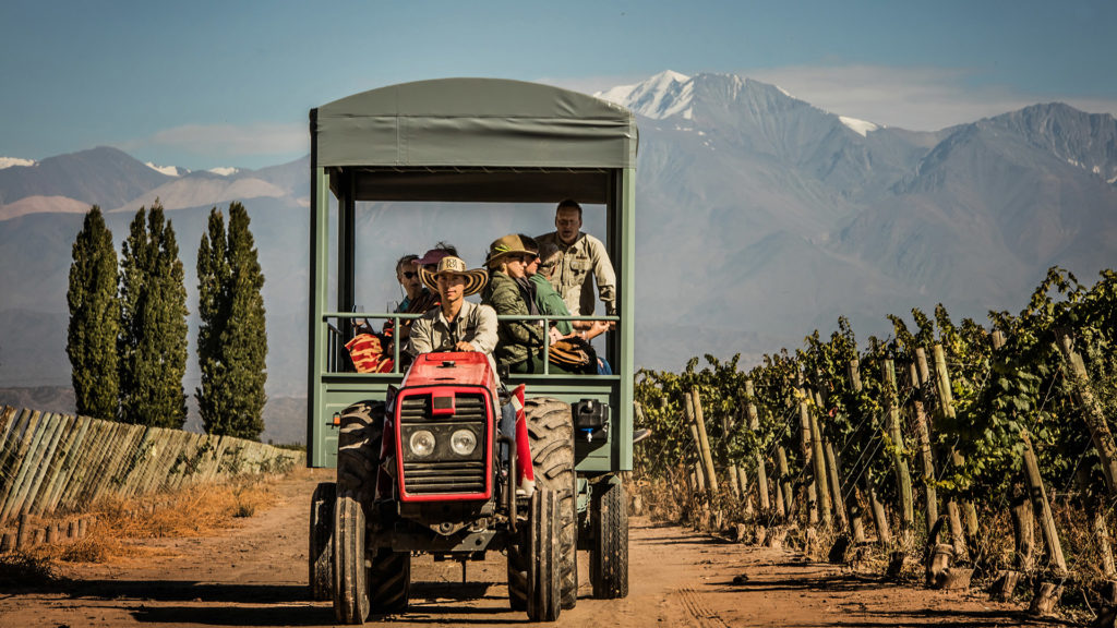 wine safari argentina