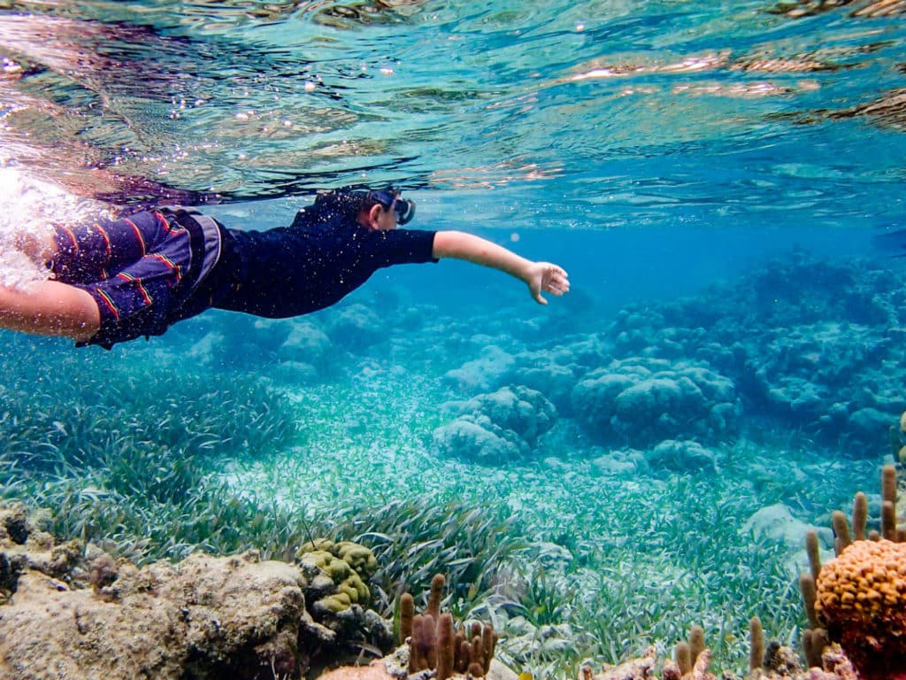 Snorkelling, Ambergris Caye, Belize