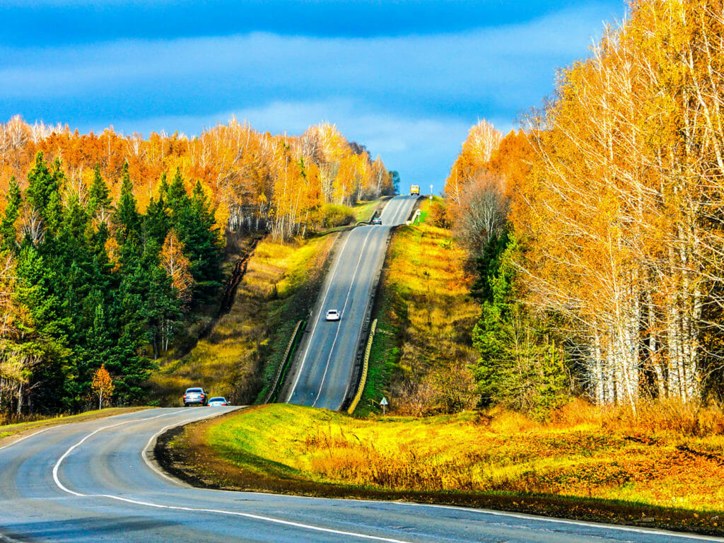 Autumn, Forest, Mountain Road, British Columbia, Canada