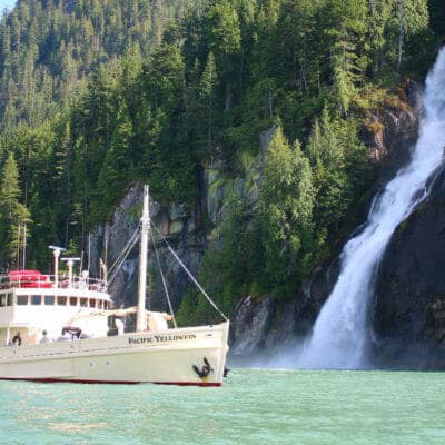 Pacific Yellowfin, British Columbia, Canada