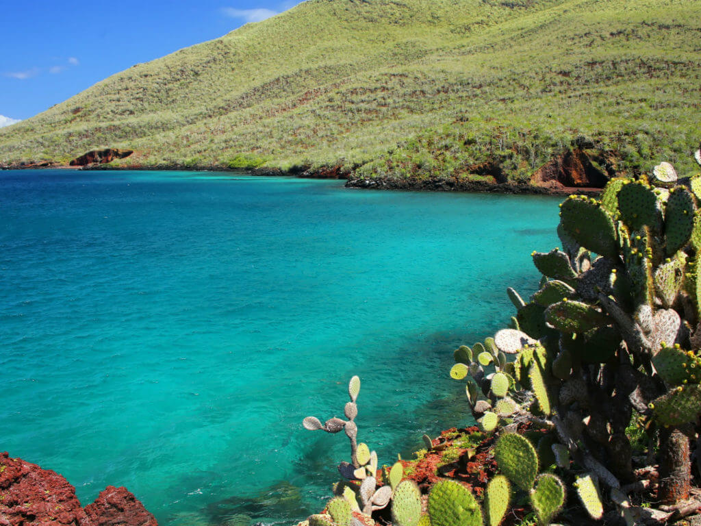 Prickly Pair, Rabida Island, Galapagos National Park, Galapagos Islands
