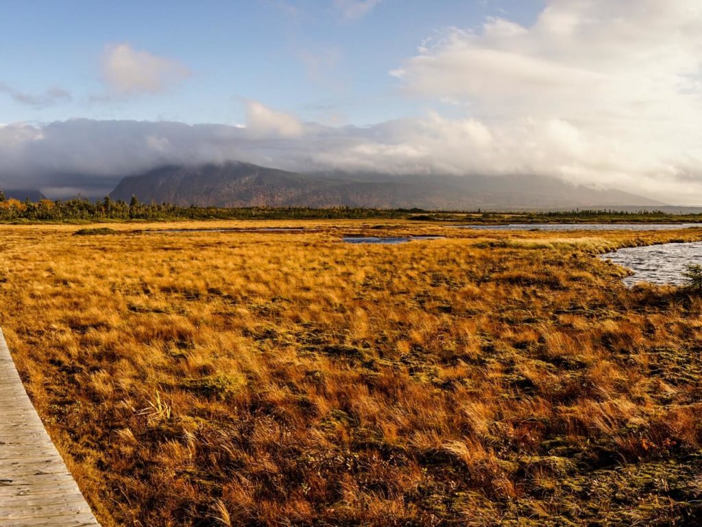 Coastline Gros Morne National Park, Newfoundland, Canada