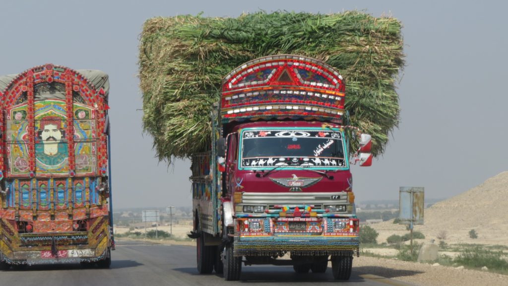 Decorated Truck With Grass, Sindh, Pakistan