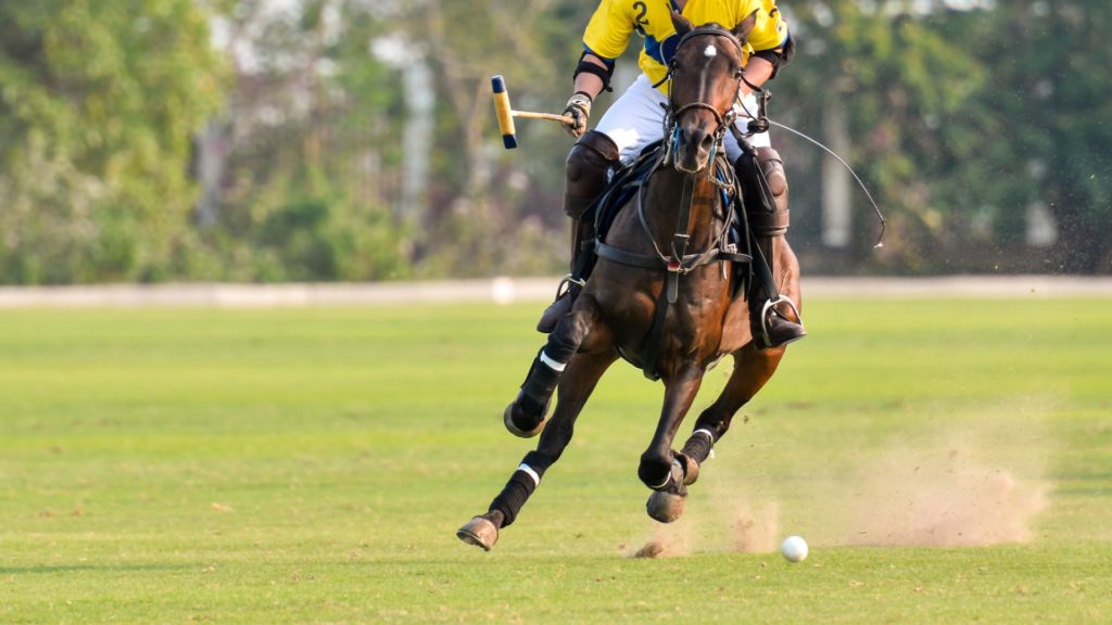 Lower half of polo player in action.