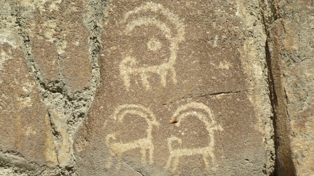 Rock art, Haldeikish, Karimabad, Gilgit Baltistan, Pakistan