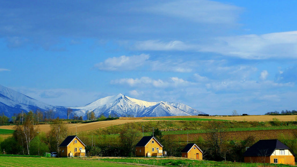 Four yellow houses set in fields with snow capped mountains behind.