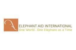 Elephant Aid International logo