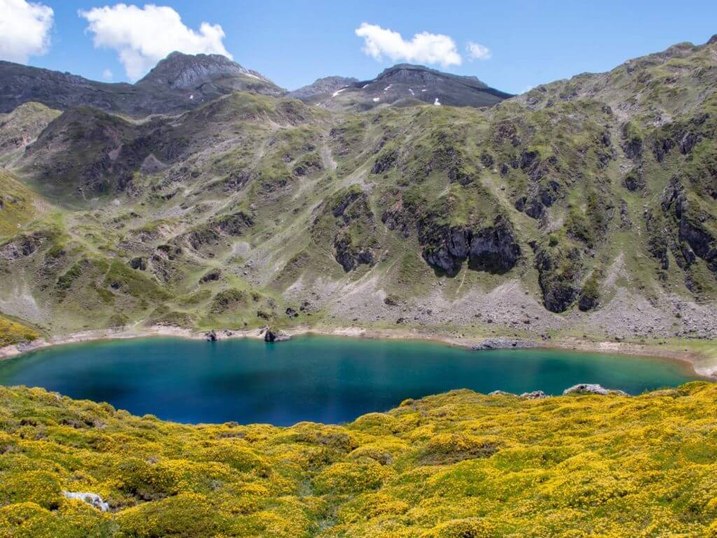 Turquoise lake surrounded by mountains against blue sky with yellow flowers in foreground.