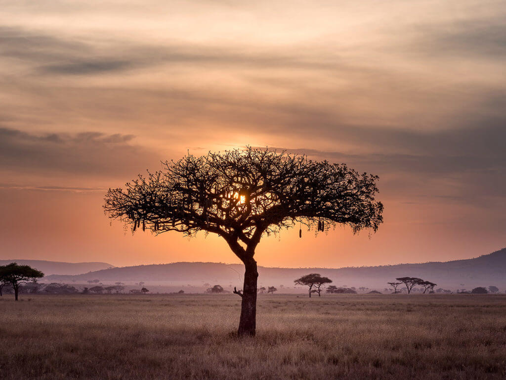 Tsavo East National Park, Kenya, Africa