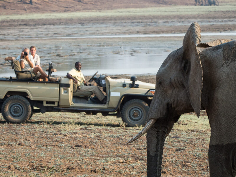 Game Drive, Luangwa River Camping , South Luangwa, Zambia