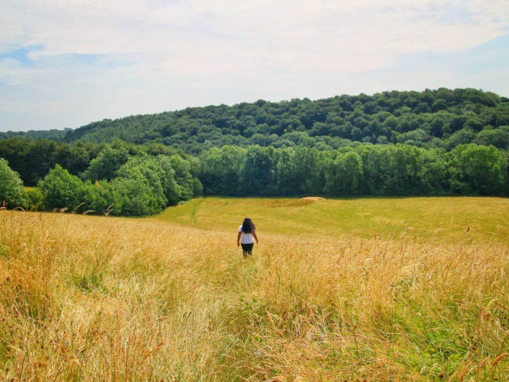 Walking the Laurie Lee Way near Painswick, Cotswolds, England,  United Kingdom