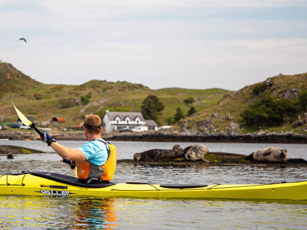Kayaking with seals in background, Culkein, Drumbeg