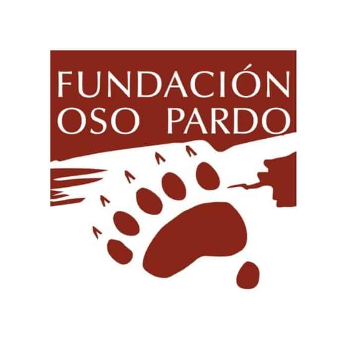 Fundacion oso pardo