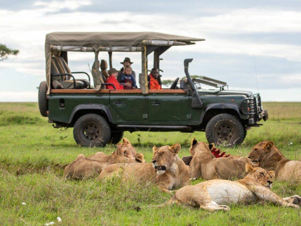 House in the wild, game drive with lions, Kenya