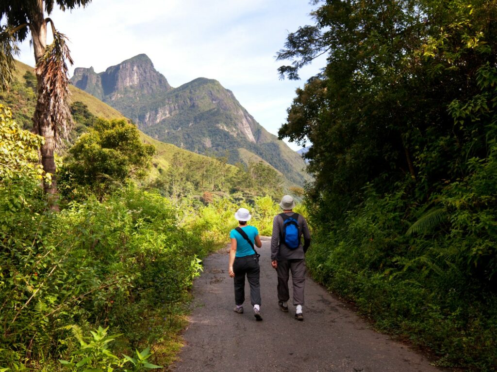 Two walkers on a track, Tea Country, Sri Lanka
