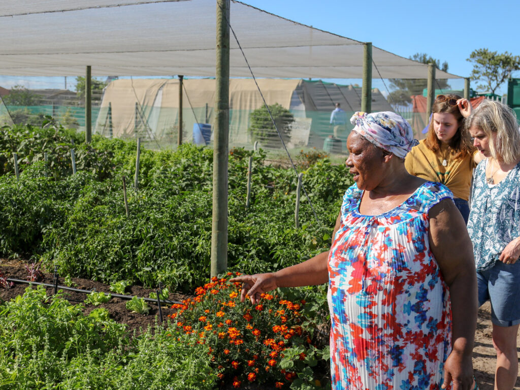 Mama Christina Garden Project, Uthando, Cape Town, South Africa