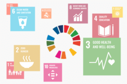 UN SDG logo surrounded by SDG icons