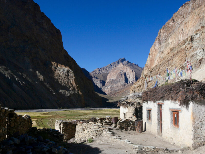 Kaafila, Nubra, Ladakh, India