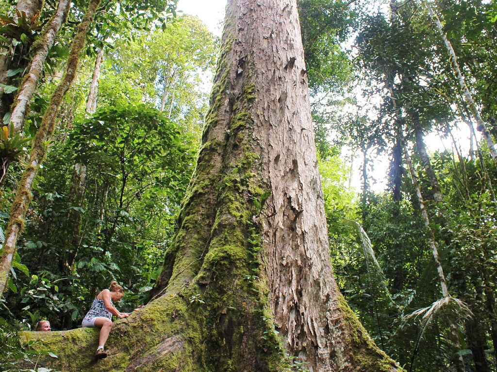 Peru Amazon, Peru Safari, Peru