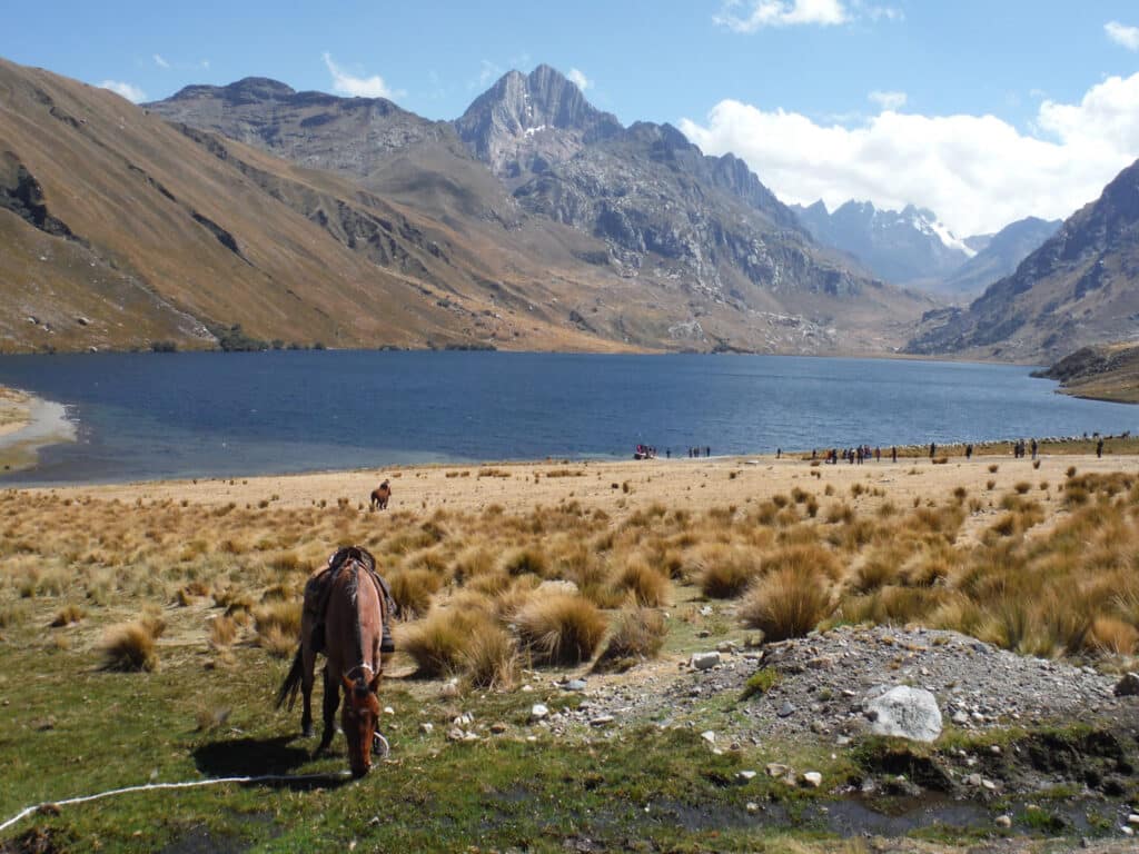Peru Safari scenery, Peru