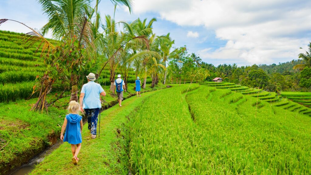Family walking, rice terraces, Ubud, Indonesia