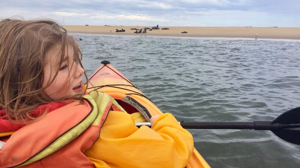 kyaking with seals, Sandwich Harbour kyaking, Walvis Bay, Namibia