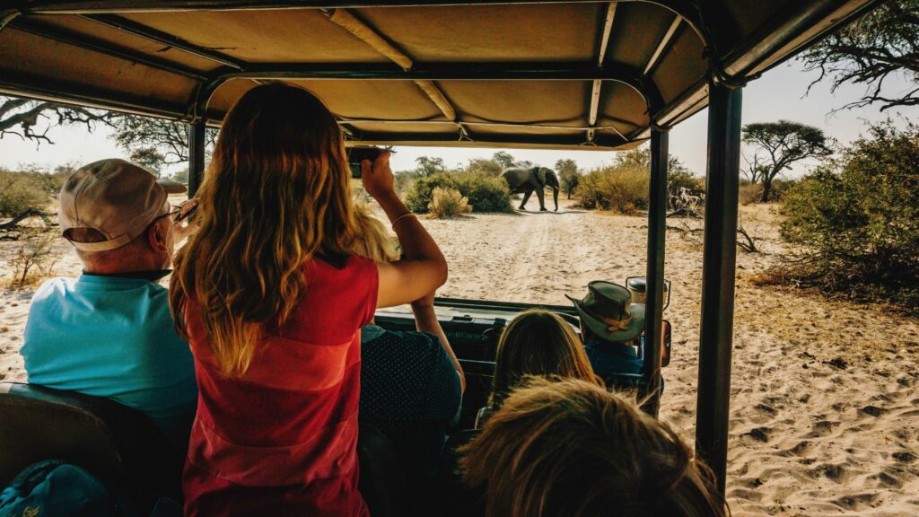 Family game drive, seeing elephant, Botswana