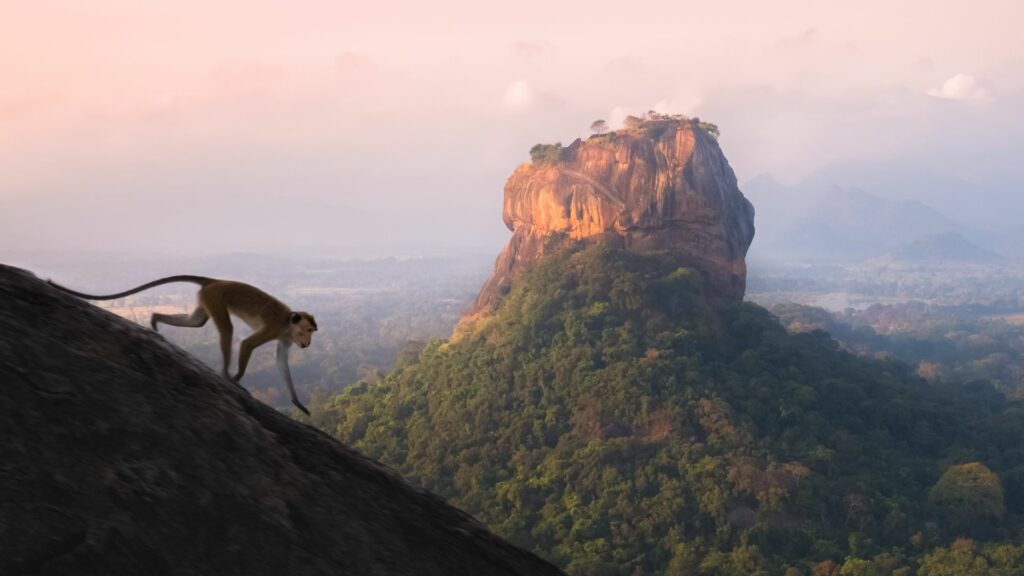 View of Sigiriya from Pidurangala Rock, Sri Lanka